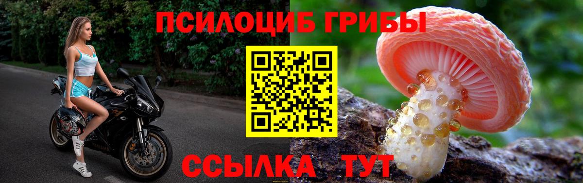 Бийск  Псилоцибиновые грибы GOLDEN TEACHER  Вход с VPN 